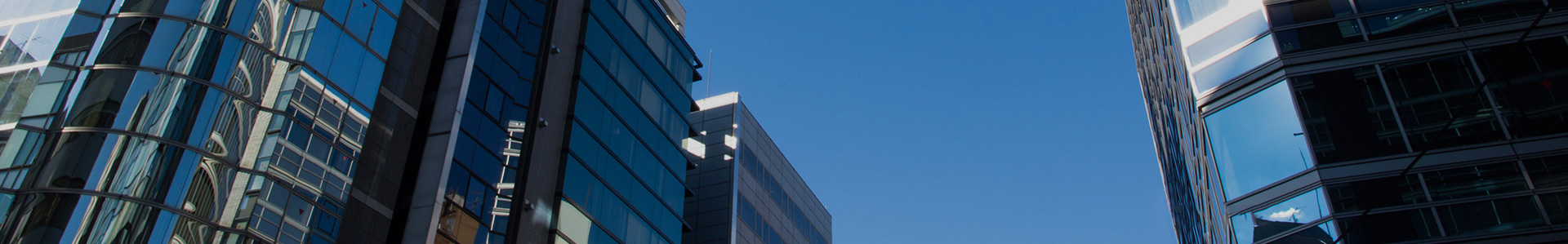 yilinzhen_WilhelmGuo